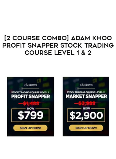 [2 Course Combo] Adam Khoo Profit Snapper Stock Trading Course Level 1& 2 download