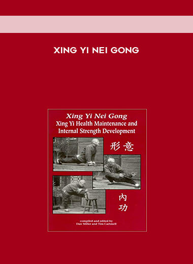 Xing Yi Nei Gong download
