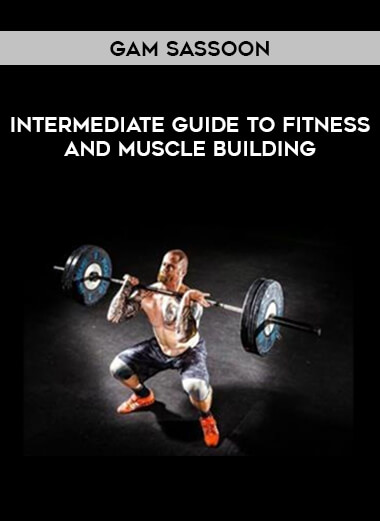 Intermediate Guide to Fitness and Muscle Building by Gam Sassoon download