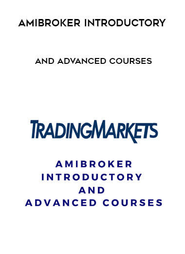 AmiBroker Introductory and Advanced Courses download