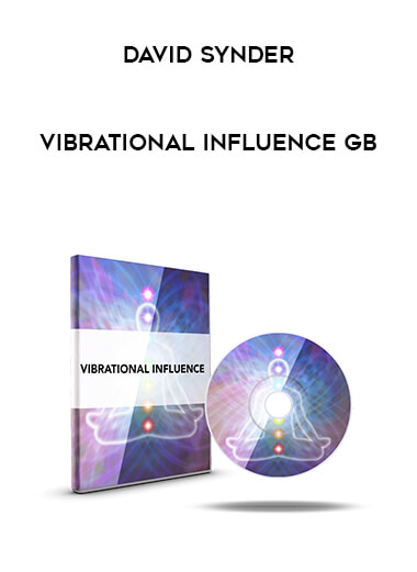 David Synder - Vibrational Influence GB download